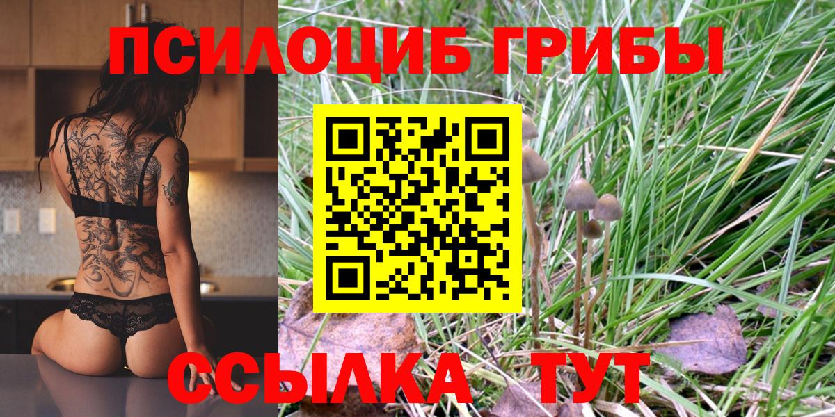 Галлюциногенные грибы Cubensis Нерюнгри